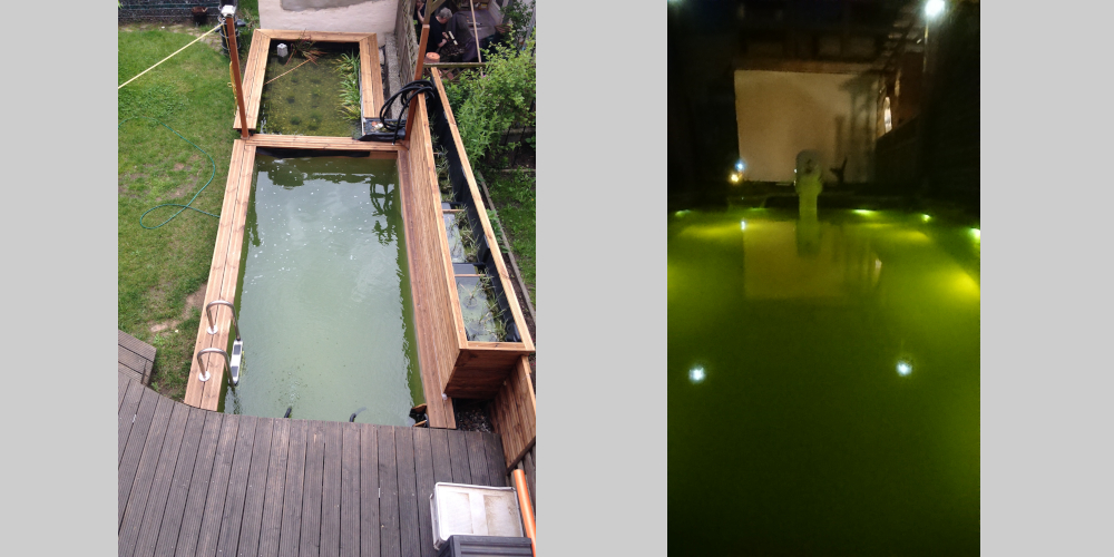 Sommerbilder