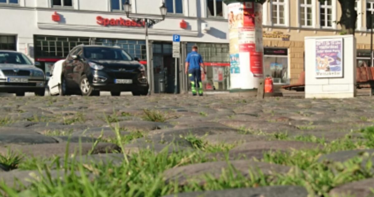 Was ich an Wismar liebe … Teil 9